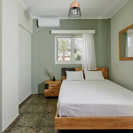 Mairi - 2 Private Pools & Game Near Athens *